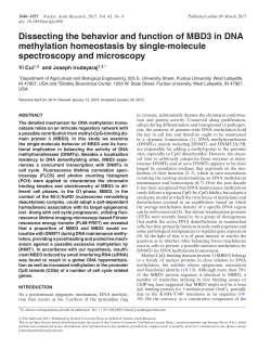 Dissecting the behavior and function of MBD3 in DNA methylation