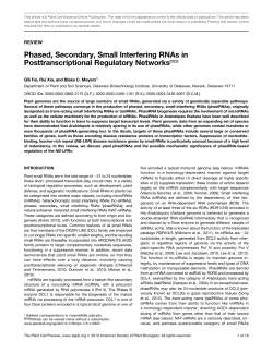 Phased, Secondary, Small Interfering RNAs in