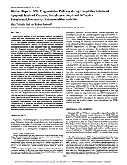 Distinct Steps in DNA Fragmentation Pathway