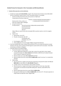 Detailed Protocol for Eukaryotic In Vitro Transcription and RNA