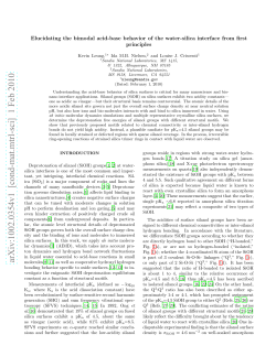 Elucidating the Bimodal Acid-base Behavior of the Water