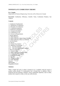 Power Plant Combustion Theory