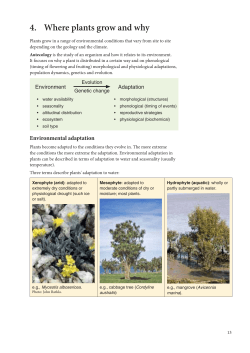 4. Where plants grow and why - New Zealand Plant Conservation