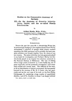 Studies on the Comparative Anatomy of Sponges. III.&mdash;On the