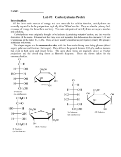 Lab #7: Carbohydrates Prelab