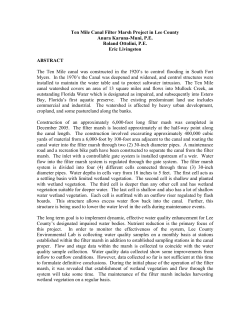 Ten Mile Canal Filter Marsh Project in Lee County