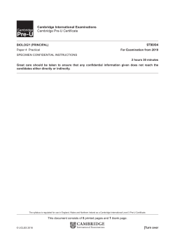 2019 Special Confidential Instructions Paper 4