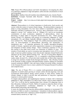 Photosynthesis is a fundamental process of critical importance to