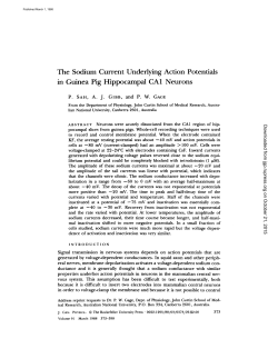 The Sodium Current Underlying Action Potentials in