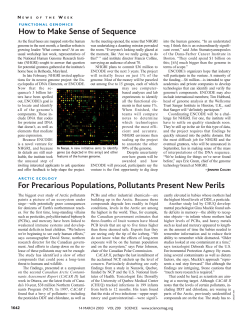 How to Make Sense of Sequence For Precarious Populations