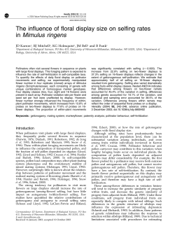 The influence of floral display size on selfing rates in Mimulus ringens