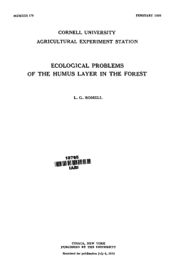 ecological problems of the humus layer in the forest