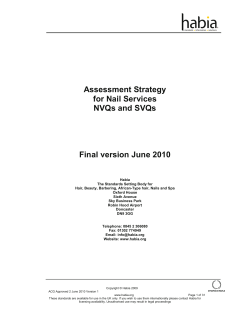 Nail Services Assessment Strategy June 2010