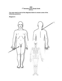 HBS Unit 1 Exam (2009)