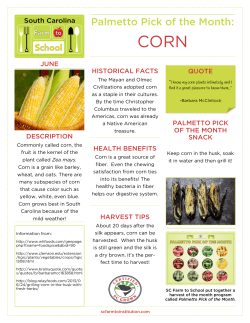 Palmetto Pick of the Month