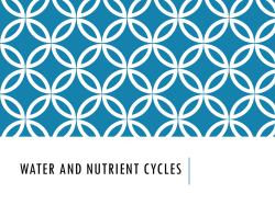 Nutrient Cycles