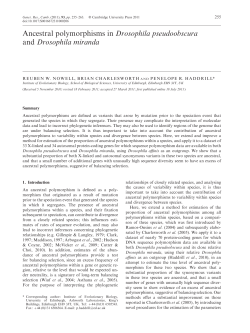 Ancestral polymorphisms in Drosophila pseudoobscura and