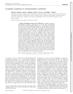 Lymphatic regulation in nonmammalian vertebrates