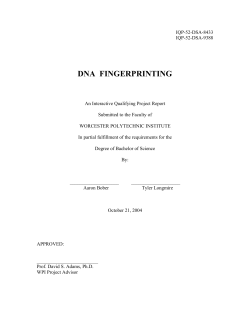 dna fingerprinting - Worcester Polytechnic Institute