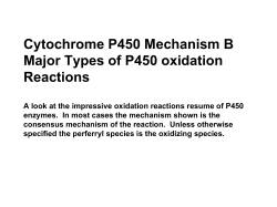 Cytochrome P450 Mechanism B Major Types of P450 oxidation