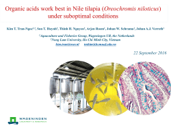 Organic acids work best in Nile tilapia - Wageningen UR E