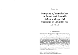 Ontogeny of cannibalism in larval and juvenile fishes with special