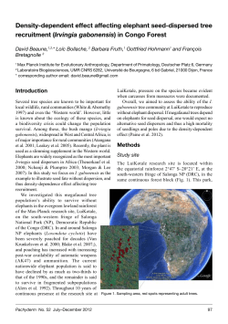 Density-dependent effect affecting elephant seed