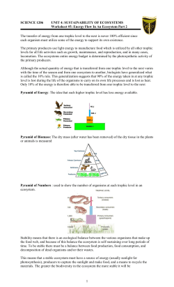 File - Mr. Fifield`s Corner