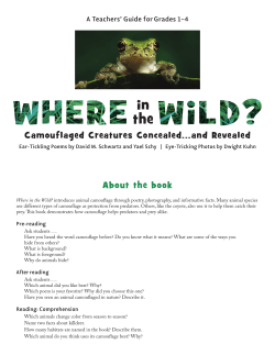 About the book Camouflaged Creatures Concealed...and Revealed