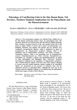 Palynology of Coal-Bearing Units in the Mae Ramat Basin, Tak