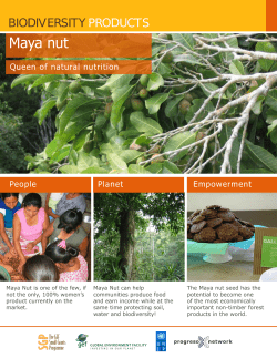 Maya nut - Biodiversity Products