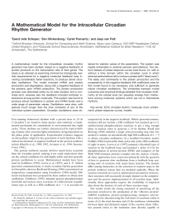 A Mathematical Model for the Intracellular Circadian