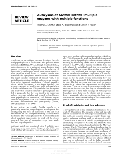 Autolysins of Bacillus subtilis