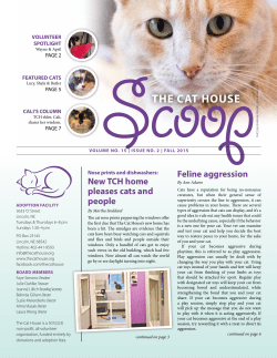 Fall 2015 - The Cat House