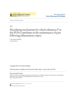 Elucidating mechanisms by which substance P