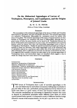 On the Abdominal Appendages of Larvae of Trichoptera, Neuroptera