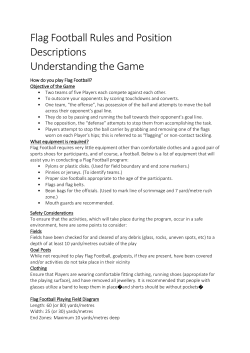 Rules / Position Description pdf