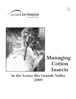 Managing Cotton Insects - AgriLife Extension County Offices