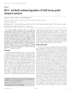 APC/C- and Mad2-mediated degradation of Cdc20 during
