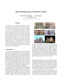 Image Matching using Local Symmetry Features