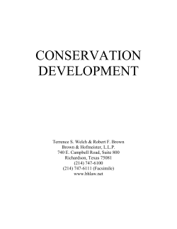 basics of planning and zoning in texas