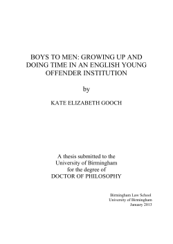 Boys to men: growing up and doing time in an English young