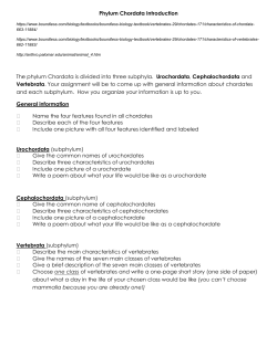 Phylum Chordata Introduction The phylum
