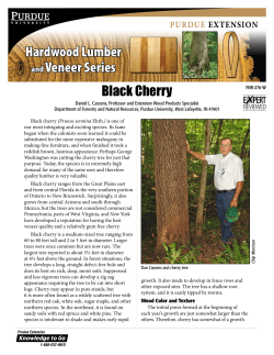 Hardwood Lumber and Veneer Series: Black