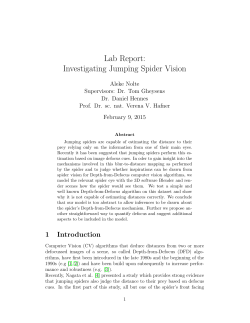 Lab Report: Investigating Jumping Spider Vision