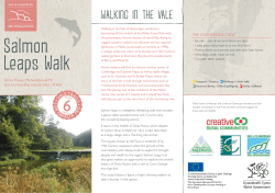 6 Salmon Falls Walk online leaflet English