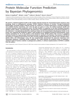 Protein Molecular Function Prediction by