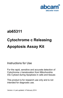 ab65311 Cytochrome c Releasing Apoptosis Assay Kit