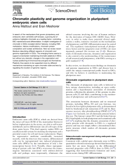 Chromatin plasticity and genome organization in