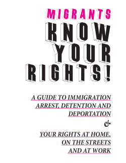 a guide to immigration arrest, detention and